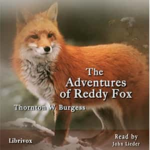 The Adventures of Reddy Fox